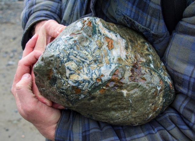 2018_0225_1849_edited-1