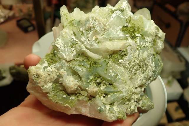 OLYMPUS DIGITAL CAMERA