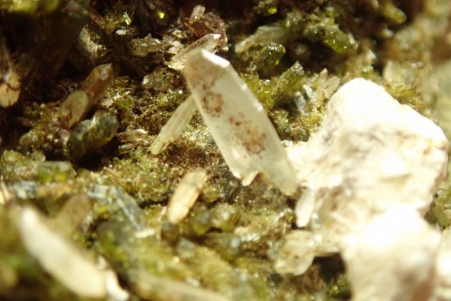 OLYMPUS DIGITAL CAMERA