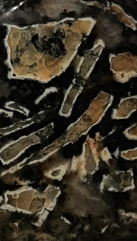 Dallasite close up - Karen Randall