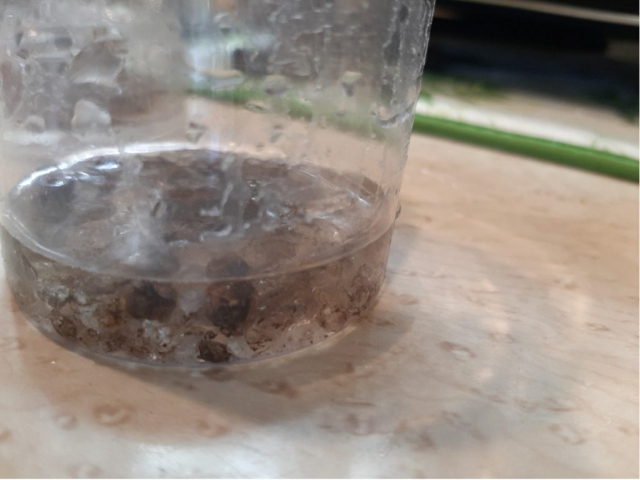 6FF4F80B1DDA4887B028C782FC4A9A6F