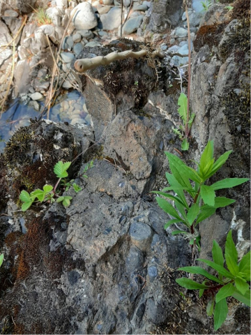 AF585E2867084A15BF0F911354BC8A2C