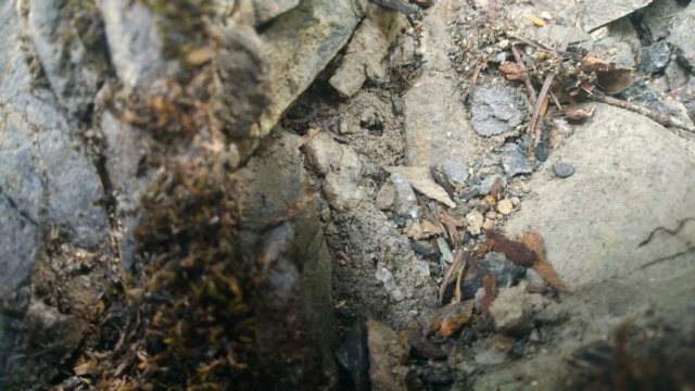 DAD6FD1C77384AF1A94E5AF3A5FD6518